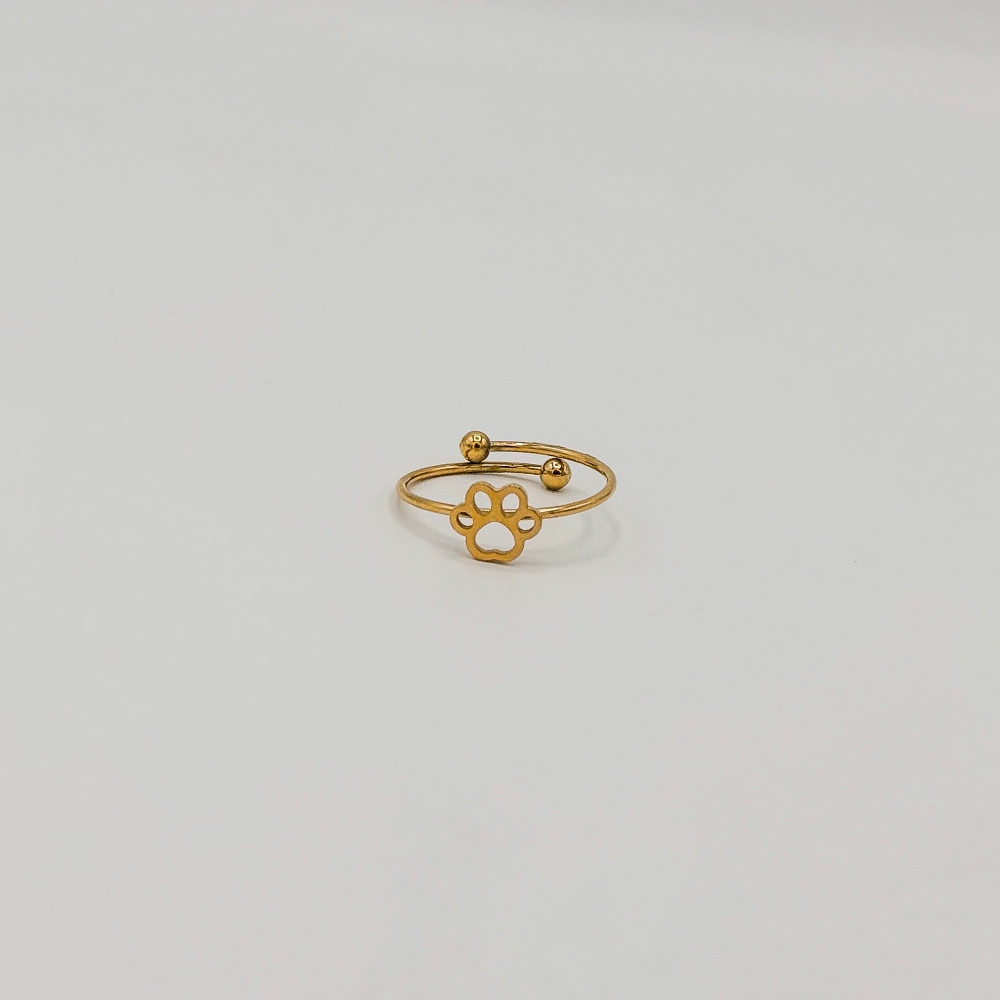 ANELLO ZAMPA